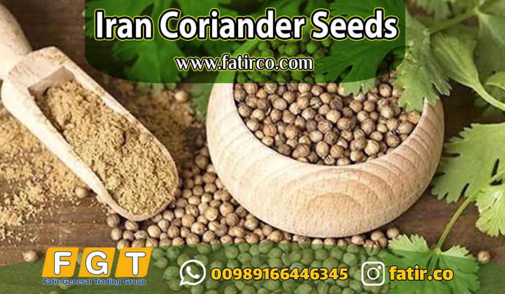 Bulk Coriander Seed Supplier