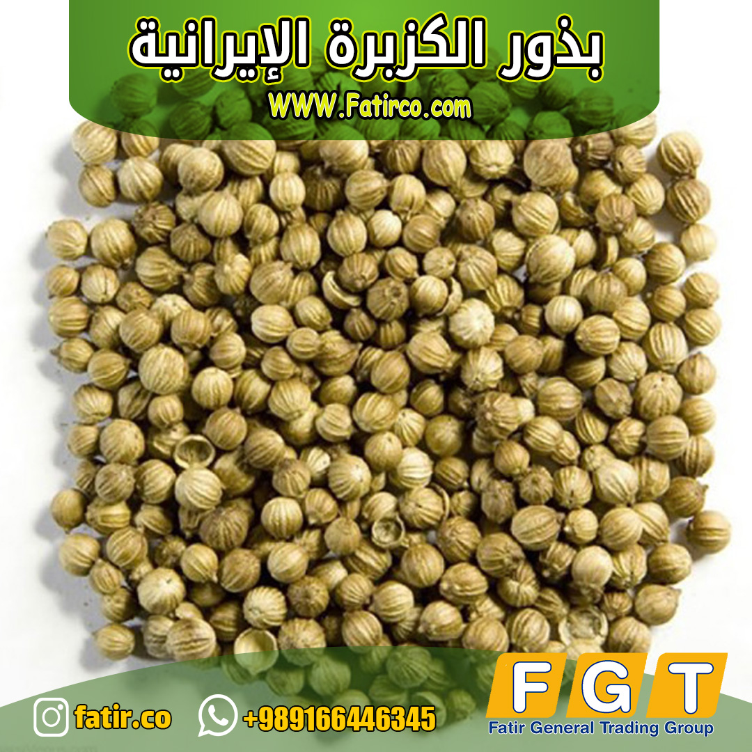 بذور الكزبرة الإيرانية