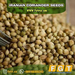 Iranian Coriander Seeds