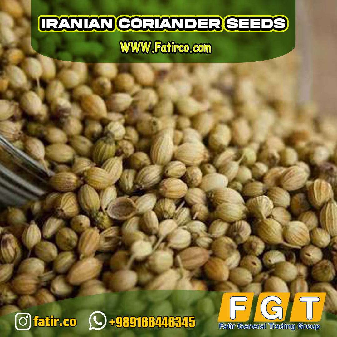Iranian Coriander Seeds