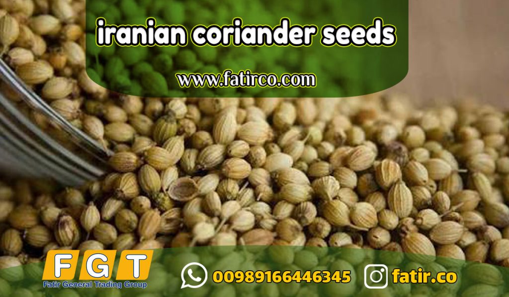 بذور الكزبرة الإيرانية عالية الجودة للتصدير