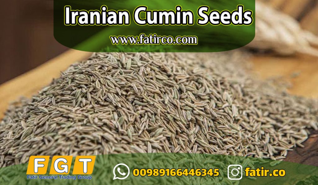 Cumin Seeds from Iran