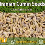 Import Iranian Cumin Seeds: A Complete Guide for Global Buyers