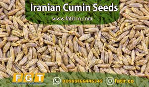 Import Iranian Cumin Seeds: A Complete Guide for Global Buyers
