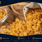 تأمین مستقیم کشمش ایرانی | خرید عمده بدون واسطه