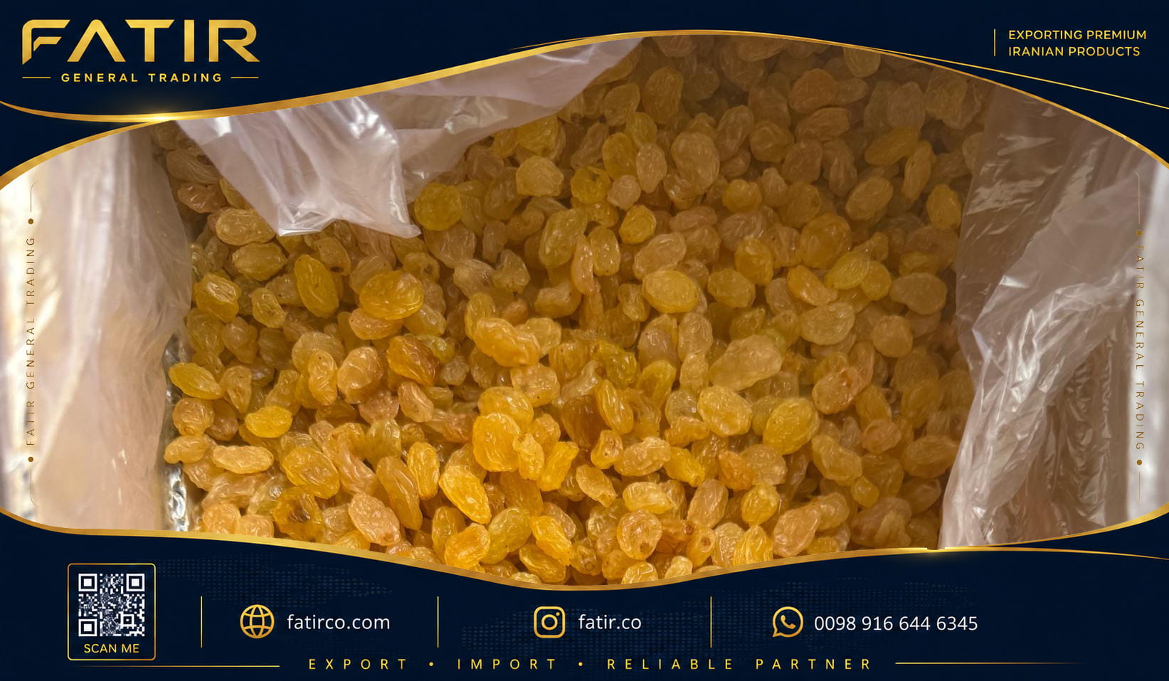 فروش عمده کشمش پلویی