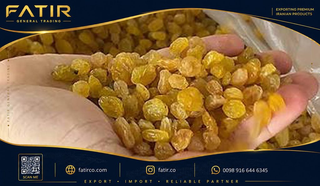 کشمش پلویی صادراتی